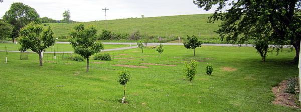 Garden20130527_647_entireGarden_topDown_600.jpg