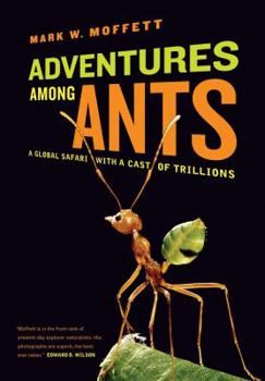 Adventures Among Ants bookCover.jpg