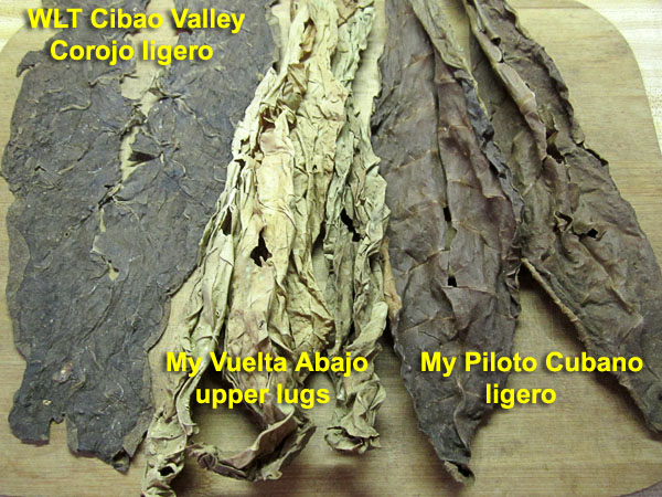 Garden20190527_4395_cigarBlend_filler_600.jpg