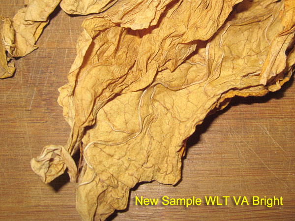 WLT20190810_4604_NewVABright_closeup_600.jpg