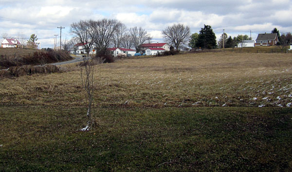 Garden20220213_6221_pasture1330_600.jpg