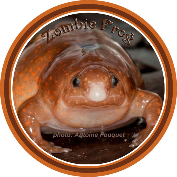 ZombieFrog_blendLabelBLANK_600_72dpi.jpg