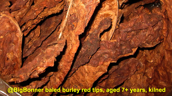 Garden20211128_6127_oldBBBurleyTips_kilned_700.jpg