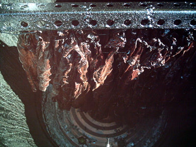 FireCureChamber2_20111006_02_AfterFiring4Weeks_400.jpg