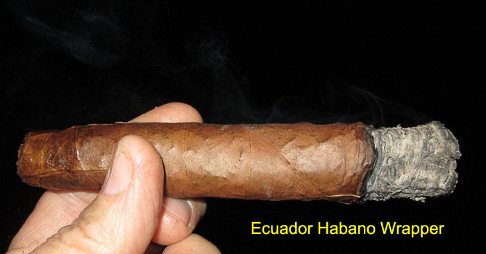 Garden20190409_4217_cigar_EcuadorHabanoWrapper_700.jpg