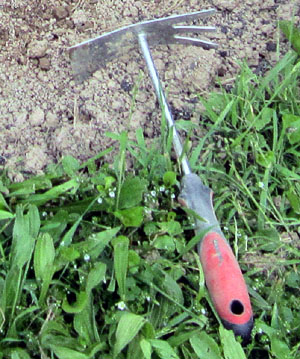 Garden20120512_154_plantingTool_300.jpg