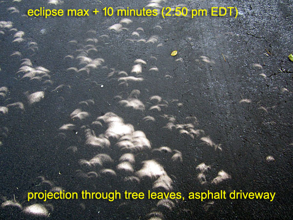 Garden20170821_2999_eclipse_leafProjectors_max10min_600.jpg