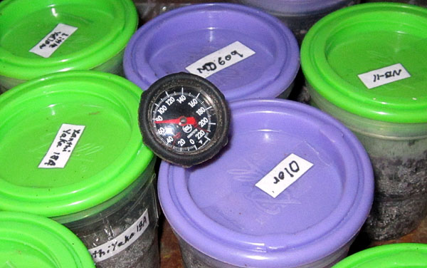 Garden20230301_6869_germinationTemp_600.jpg