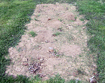 Garden20140413_1140_fallWeeded_400.jpg