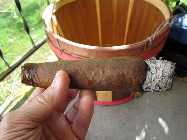Garden20170926_3119_cigar_lateBreakfast_600.jpg