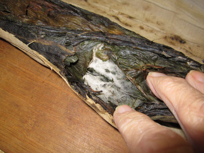 Dominican Andullo Curing | Fair Trade Tobacco