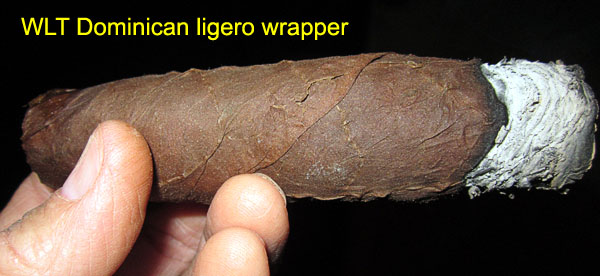 Garden20170411_2556_cigar_DomLigeroWrapper_600.jpg