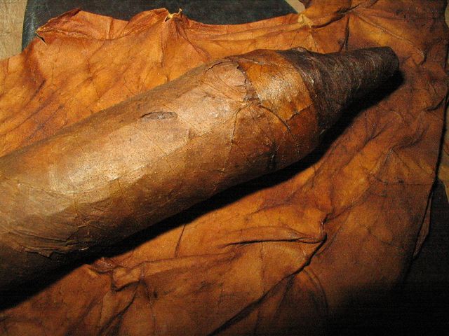 MarcL_20201009a.JPG