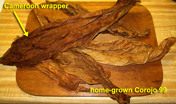 Garden20200630_5206_cigar_ingredients_600.jpg