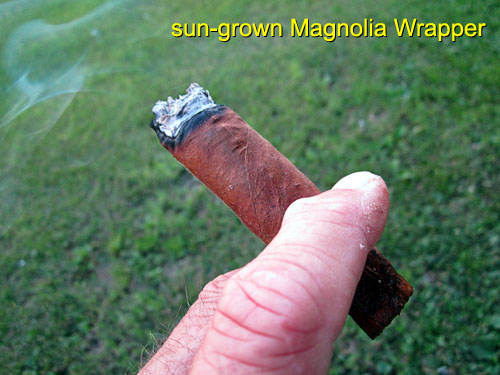Garden20150617_1834_cigar_MagnoliaWrapper_500.jpg