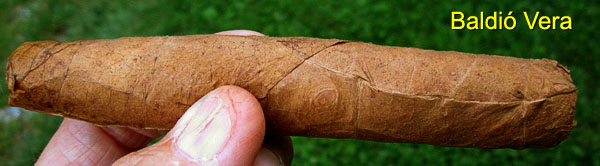 Garden20170607_2696_cigar_BaldioVera_600.jpg