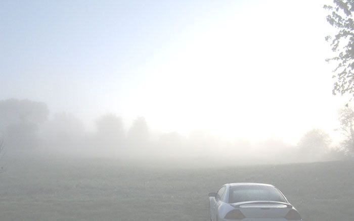 Garden20260426_7749_morningFog_700.jpg
