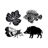 www.invasive.org