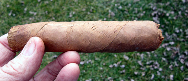 Garden20170207_2435_cigar_HondurasHabano_in_EcuShade_600.jpg