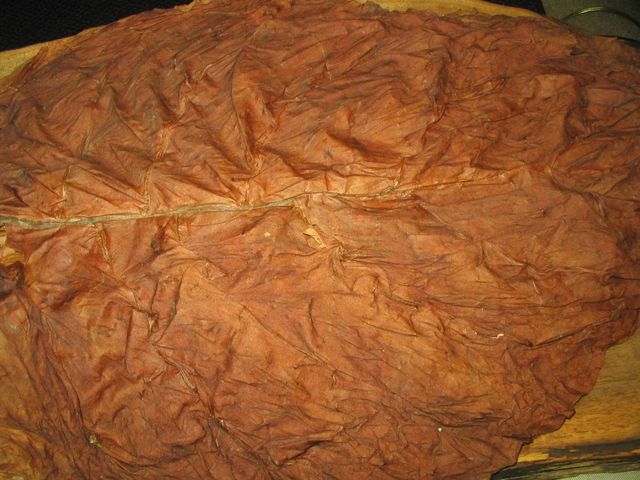 MarcL_20200616b.jpg