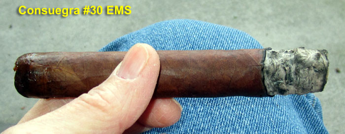 Garden20251225_7709_Cigar_Consuegra30ems_lit_700.jpg