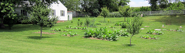 Garden20120613_231_wholeGarden_600w.jpg