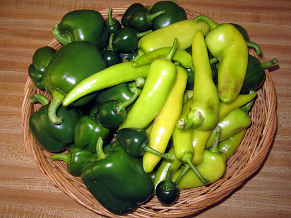Garden20171016_3179_peppers_pre-frost_600.jpg