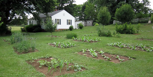 Garden20140621_1239_entireGarden_600.jpg