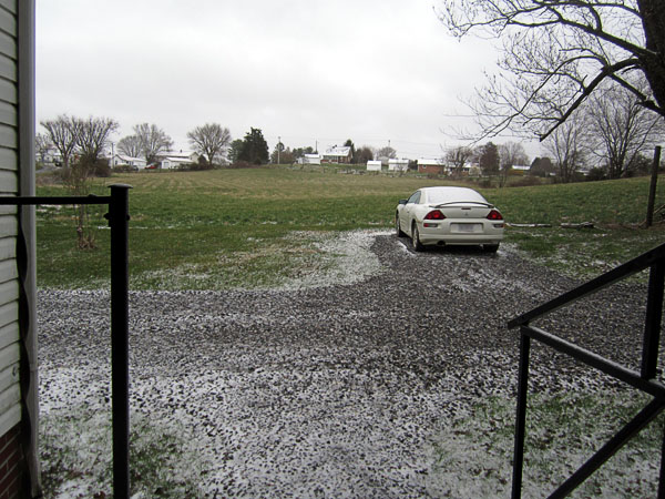Garden20230312_6892_3-5inPredictedSnow_600.jpg