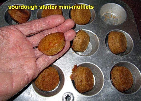 Garden20200805_5343_sourdoughMufflets_600a.jpg