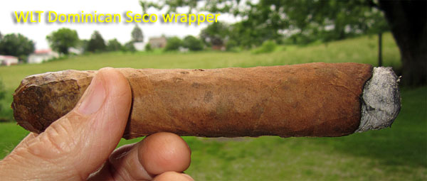 Garden20180528_3575_cigar_WLTDomSecoWrapper_600.jpg