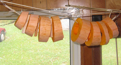 Garden20191020_4801_NGaCandyRoaster_hung_500.jpg