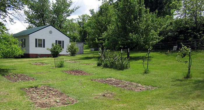Garden20220514_6349_entireGarden_700.jpg