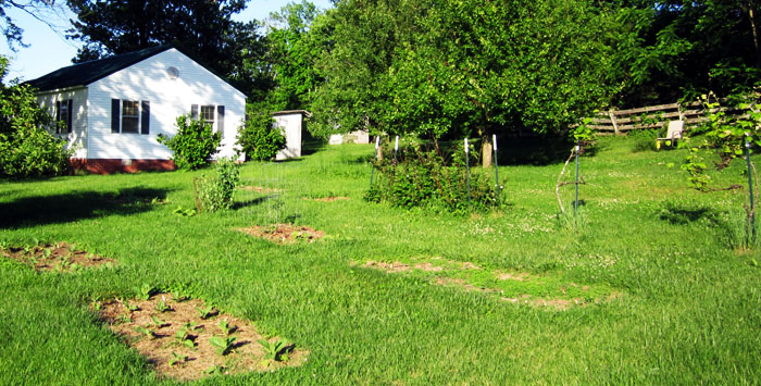 Garden20220529_6359_entireGarden_700.jpg