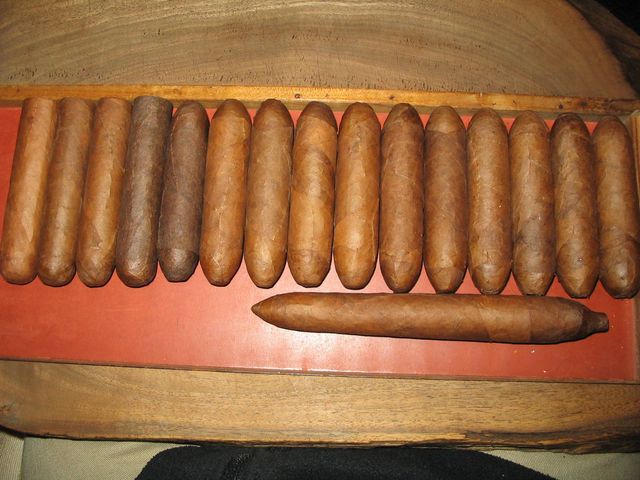 MarcL_20200416a.jpg