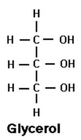 Glycerol_structure.JPG