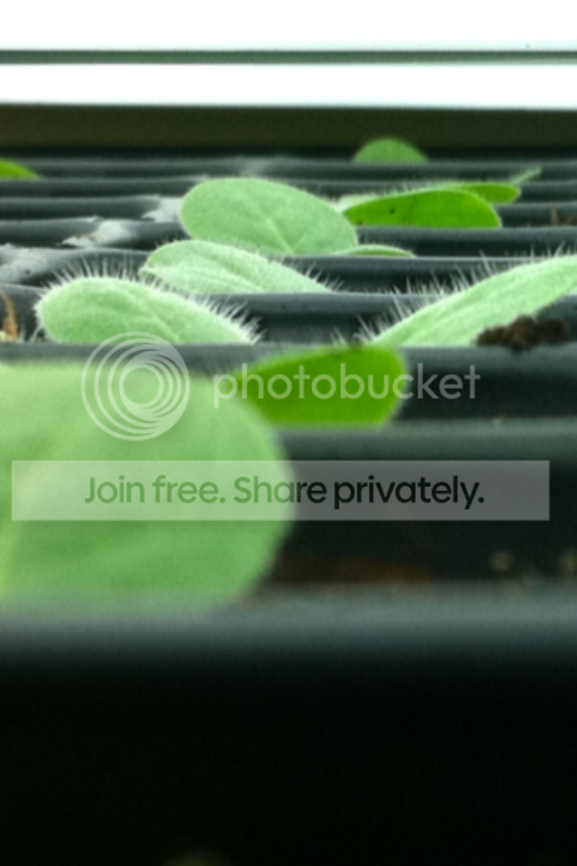 photo-18.png
