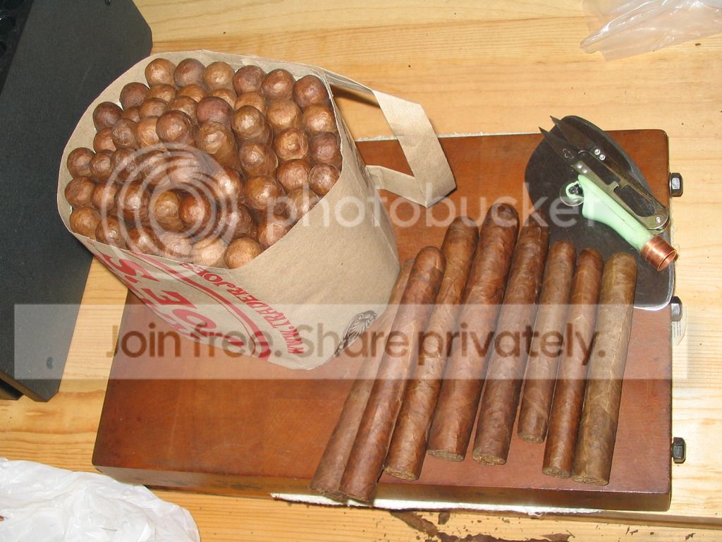 IMG_0310_zpsjb6btprm.jpg