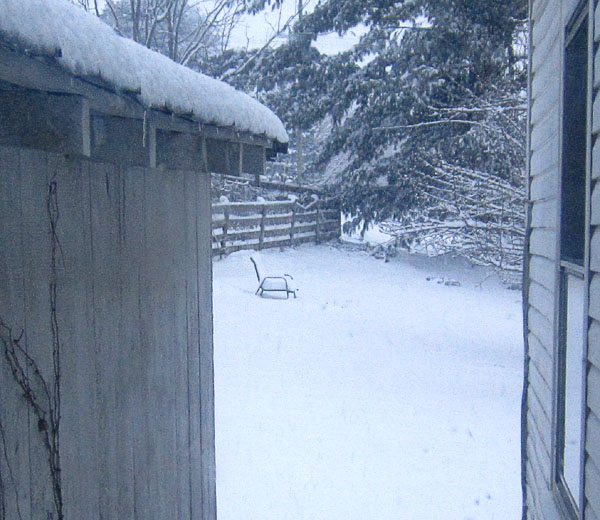 Garden20210131_5626_snowBackPorch_600.jpg