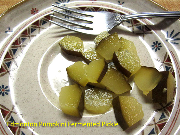 Garden20180730_3708_PumpkiniPickle_done_600.jpg