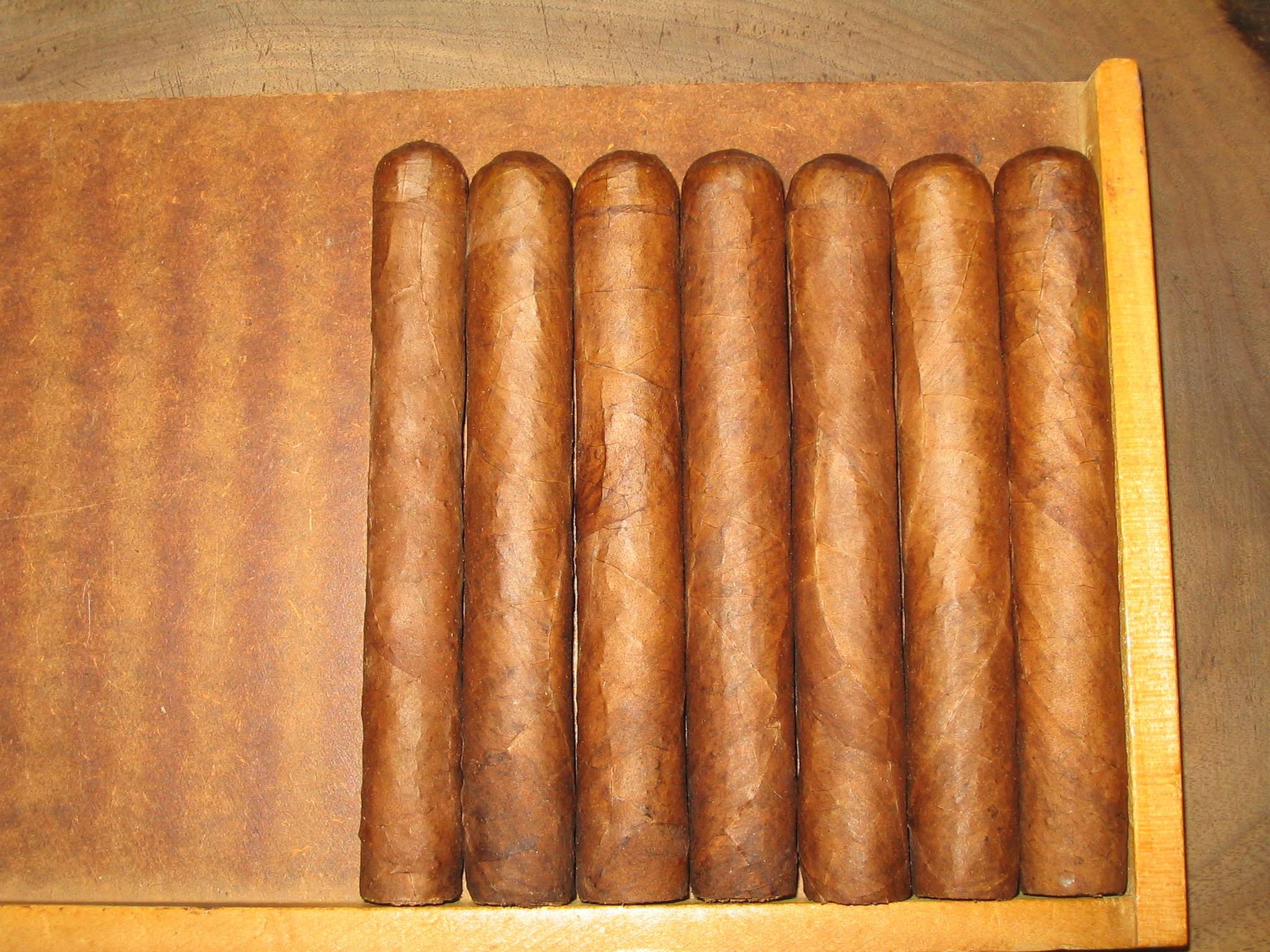 Tkx48P8.jpg