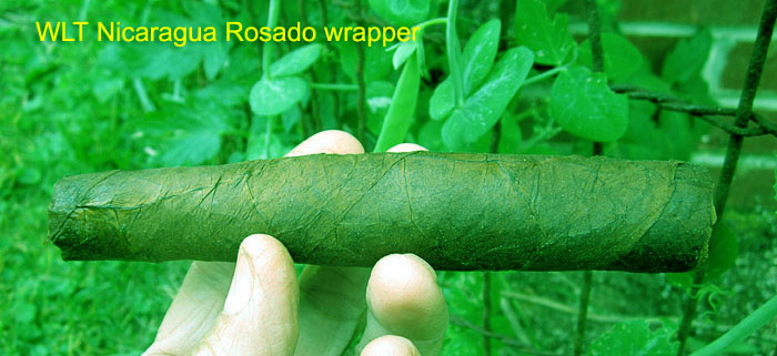 Garden20190603_4409_cigar_MessedUpColorBalance_700.jpg