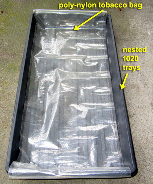 Garden20230303_6870_pea_starting1_trayLiner_500.jpg