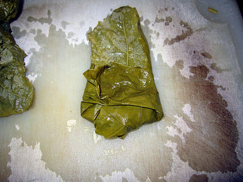 Garden20200730_5304_dolma03_500.jpg