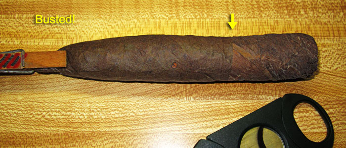 Garden20190831_4703_cigar_busted_CameroonOnPABroadleaf_700.jpg