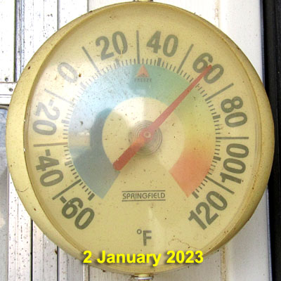 Garden20230102_6813_tempOnPorch_400SQ.jpg