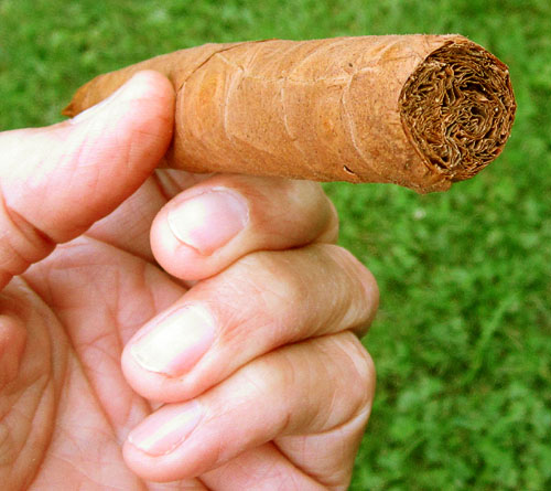 Garden20170607_2695_cigar_BaldioVera_foot_500.jpg