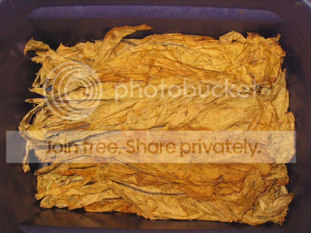 how does tobacco affect the nervous system DOC2US how does tobacco affect the nervous system DOC2US
